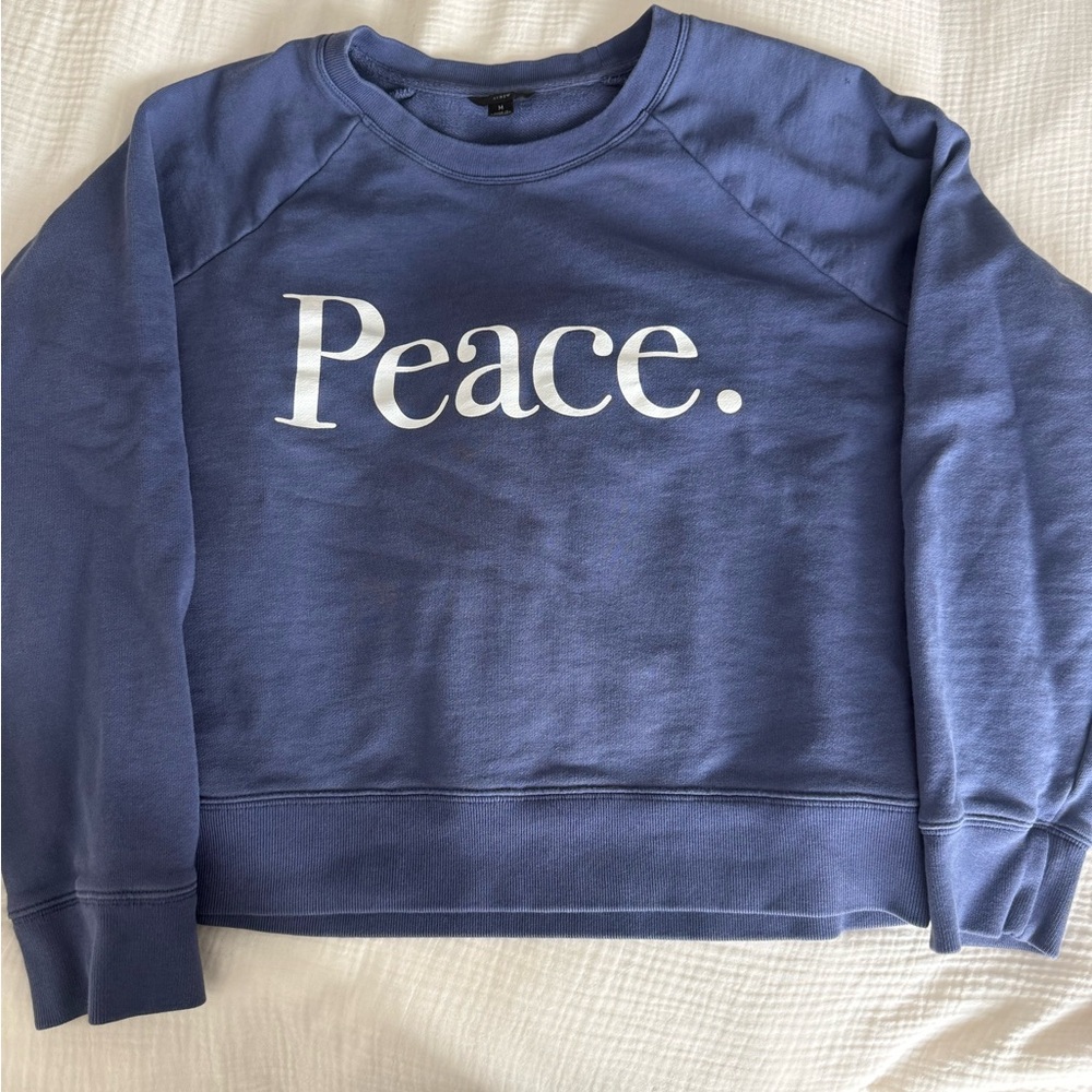 J Crew Crewneck Sweatshirt in Soft Blue